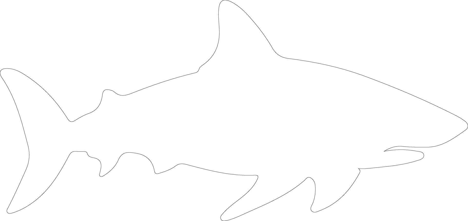 bullshark outline silhouette vector