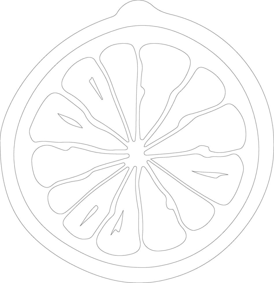 grapefruit  outline silhouette vector