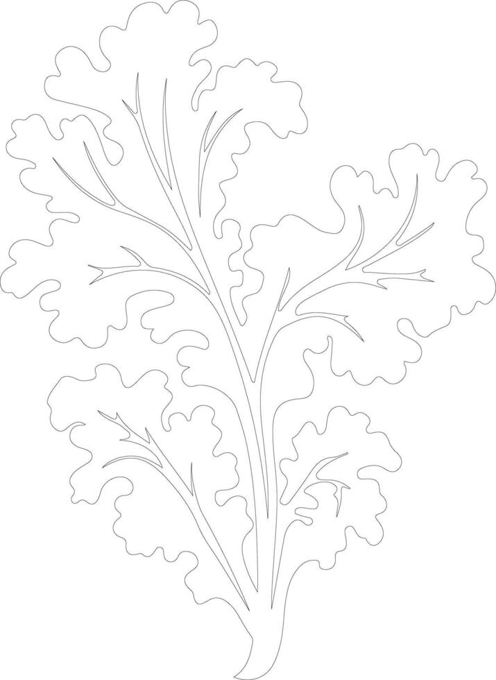 mustard greens  outline silhouette vector