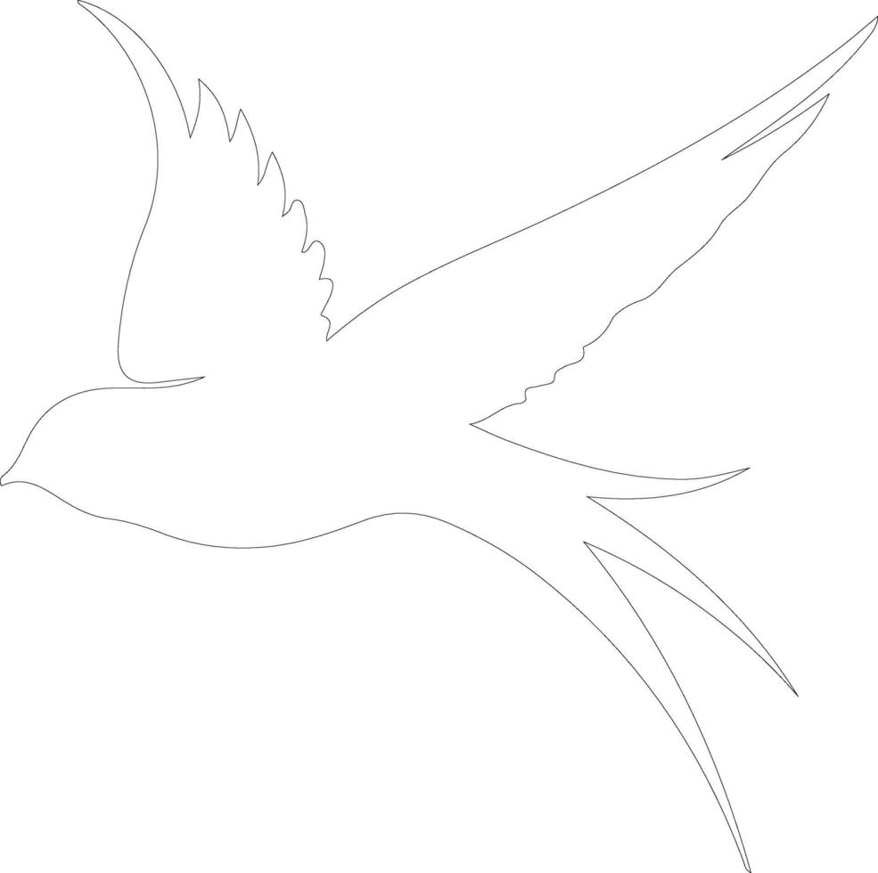 swift    outline silhouette vector