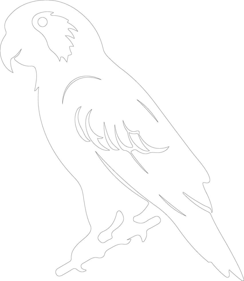 African gray parrot outline silhouette vector