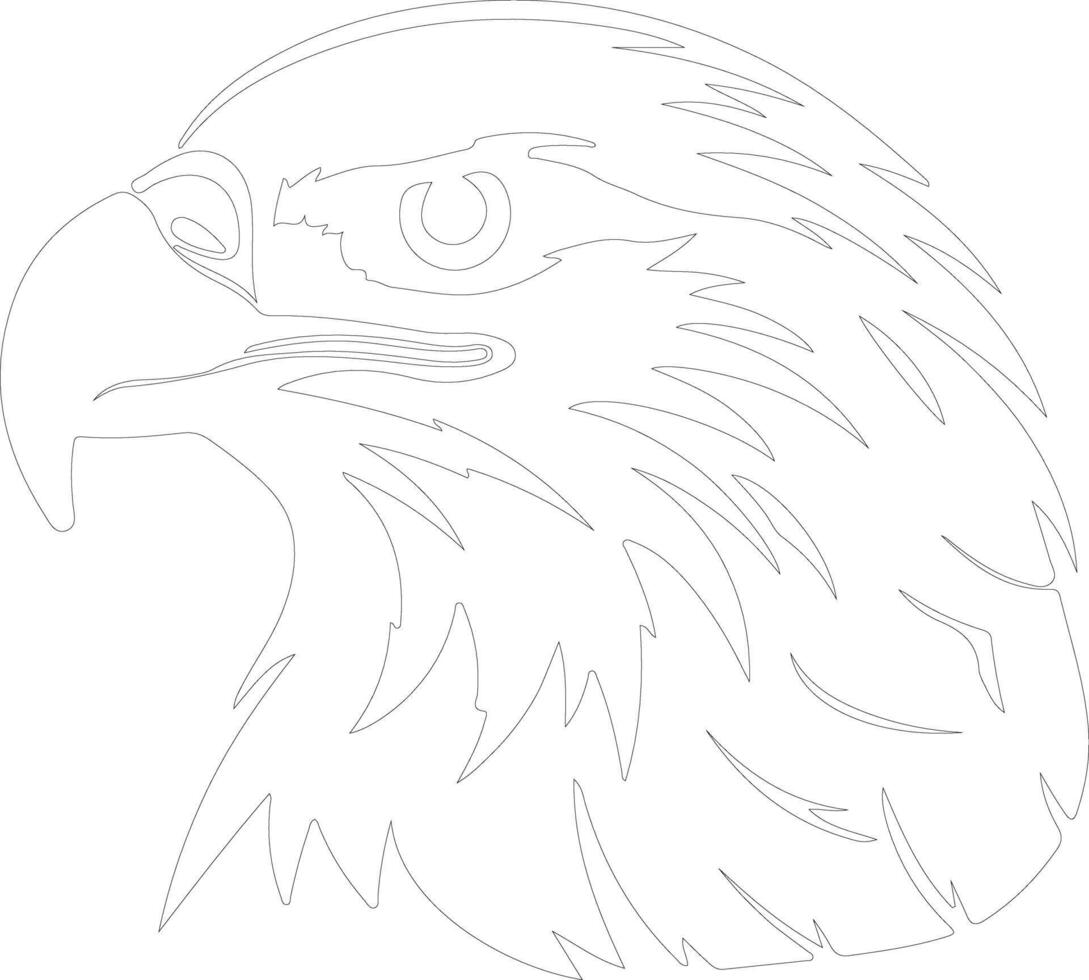 calvo águila contorno silueta vector