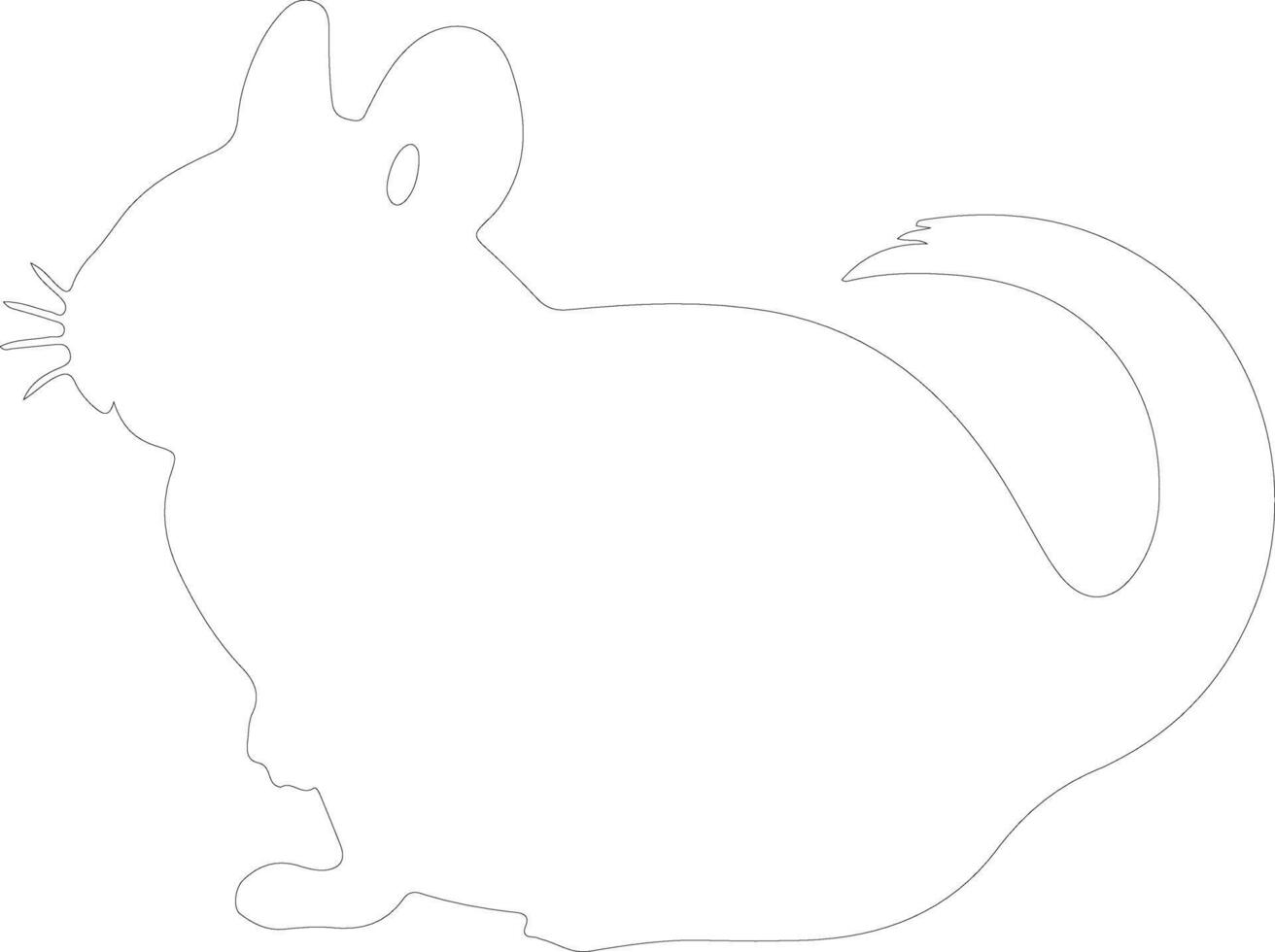 chinchilla contorno silueta vector