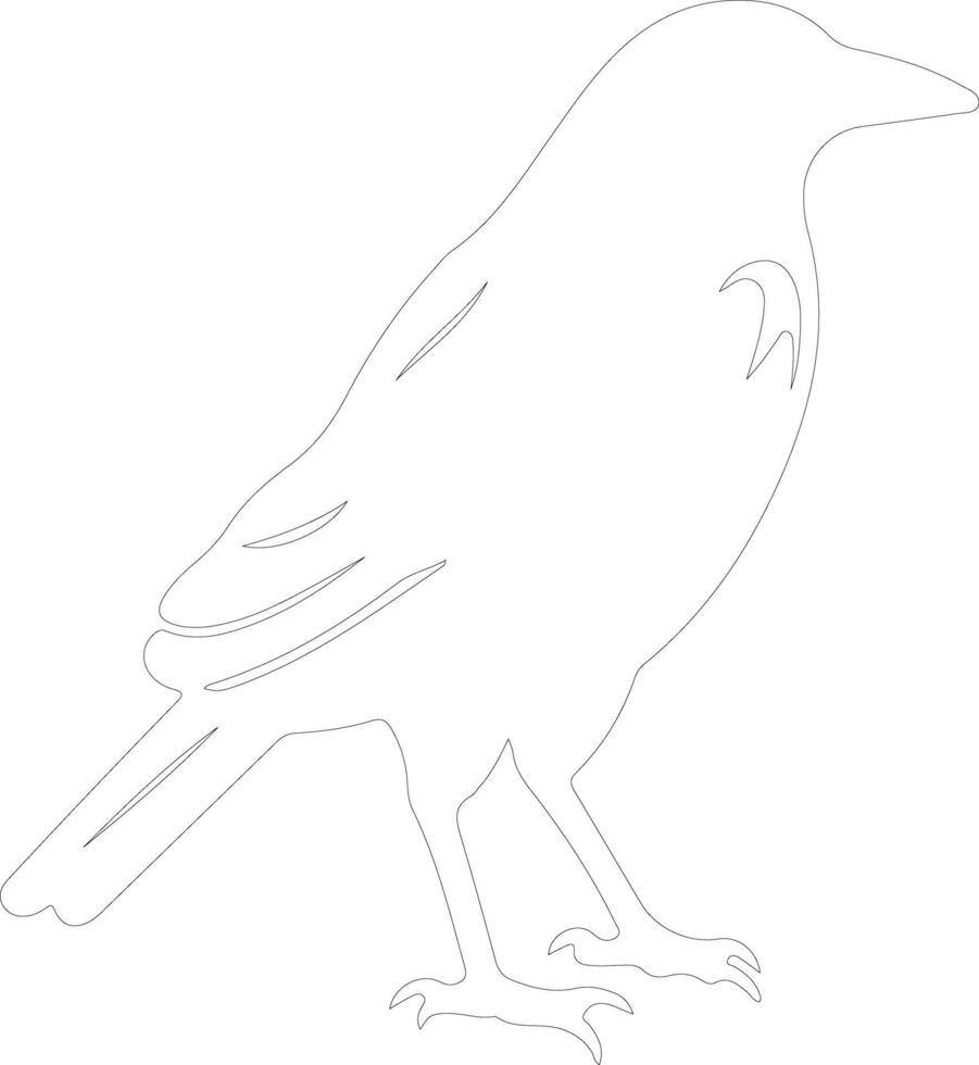 crow outline silhouette vector