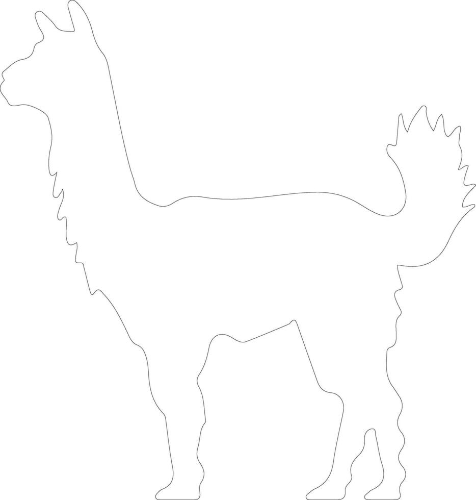 alpaca  outline silhouette vector