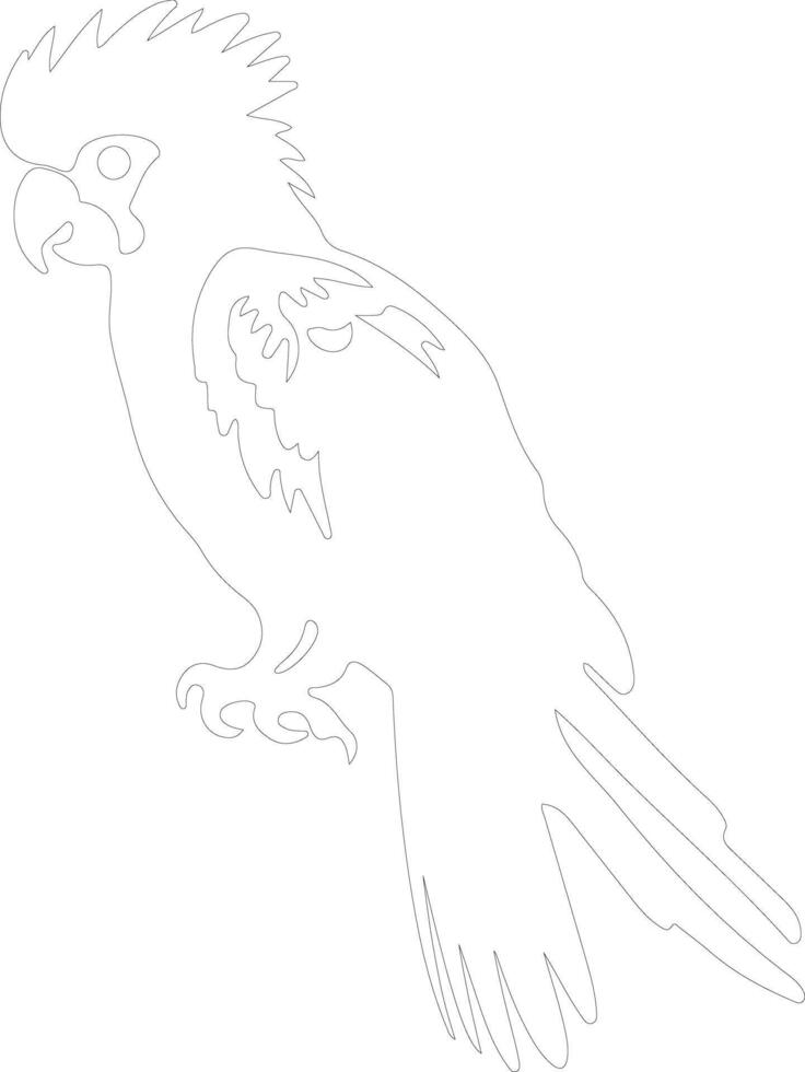cockatoo outline silhouette vector