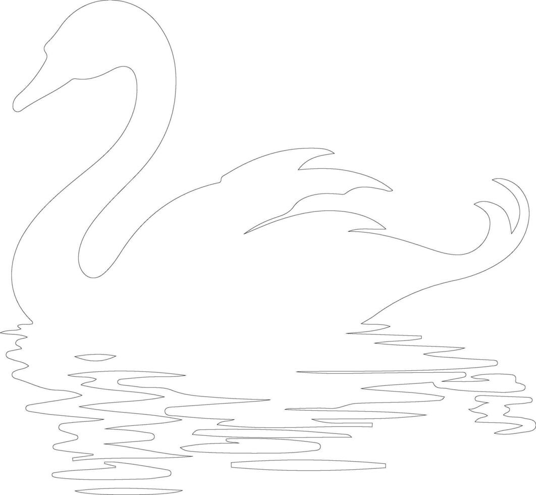 black swan  outline silhouette vector