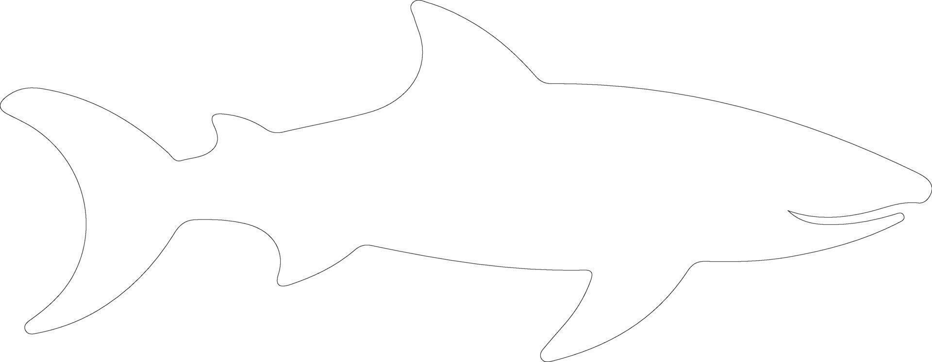 cookiecuttershark outline silhouette vector