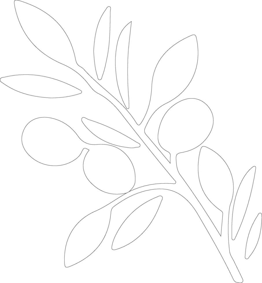olive  outline silhouette vector