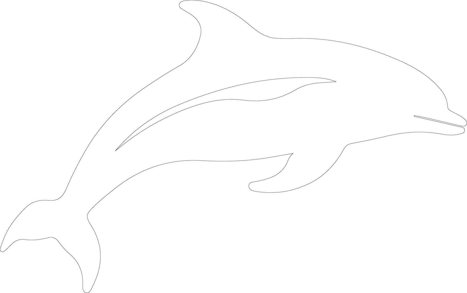 porpoise   outline silhouette vector