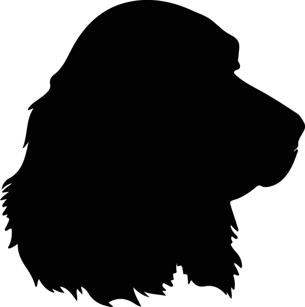 American Water Spaniel  silhouette portrait vector