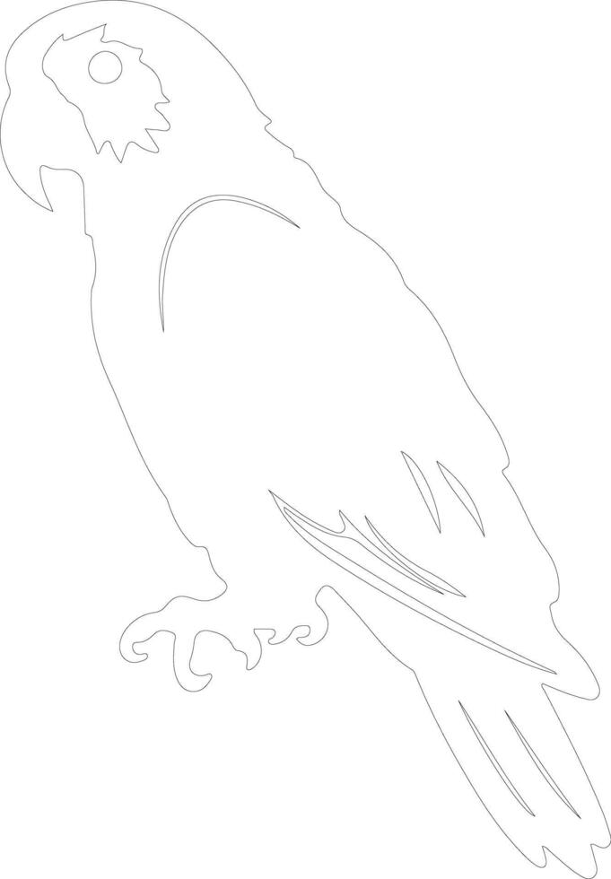 African gray parrot  outline silhouette vector