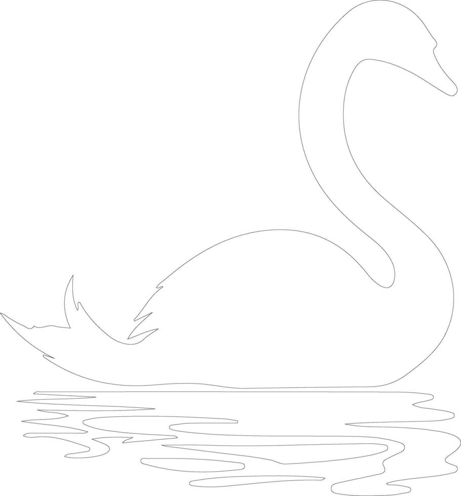 trumpeter swan   outline silhouette vector