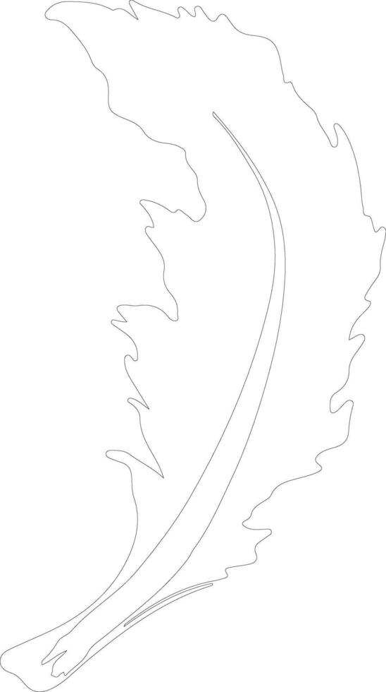endive  outline silhouette vector