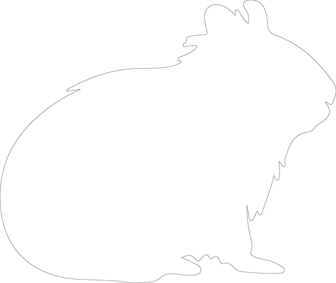 cavy outline silhouette vector