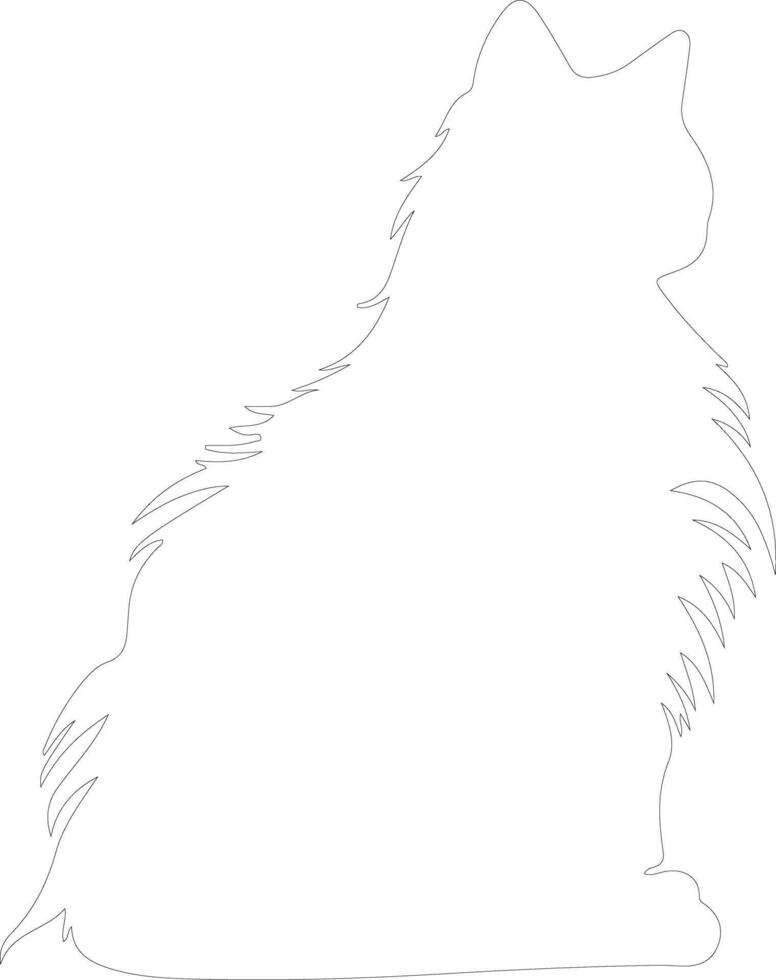 Ragdoll Cat  outline silhouette vector
