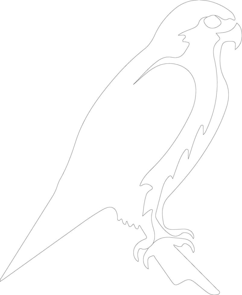 peregrine falcon  outline silhouette vector