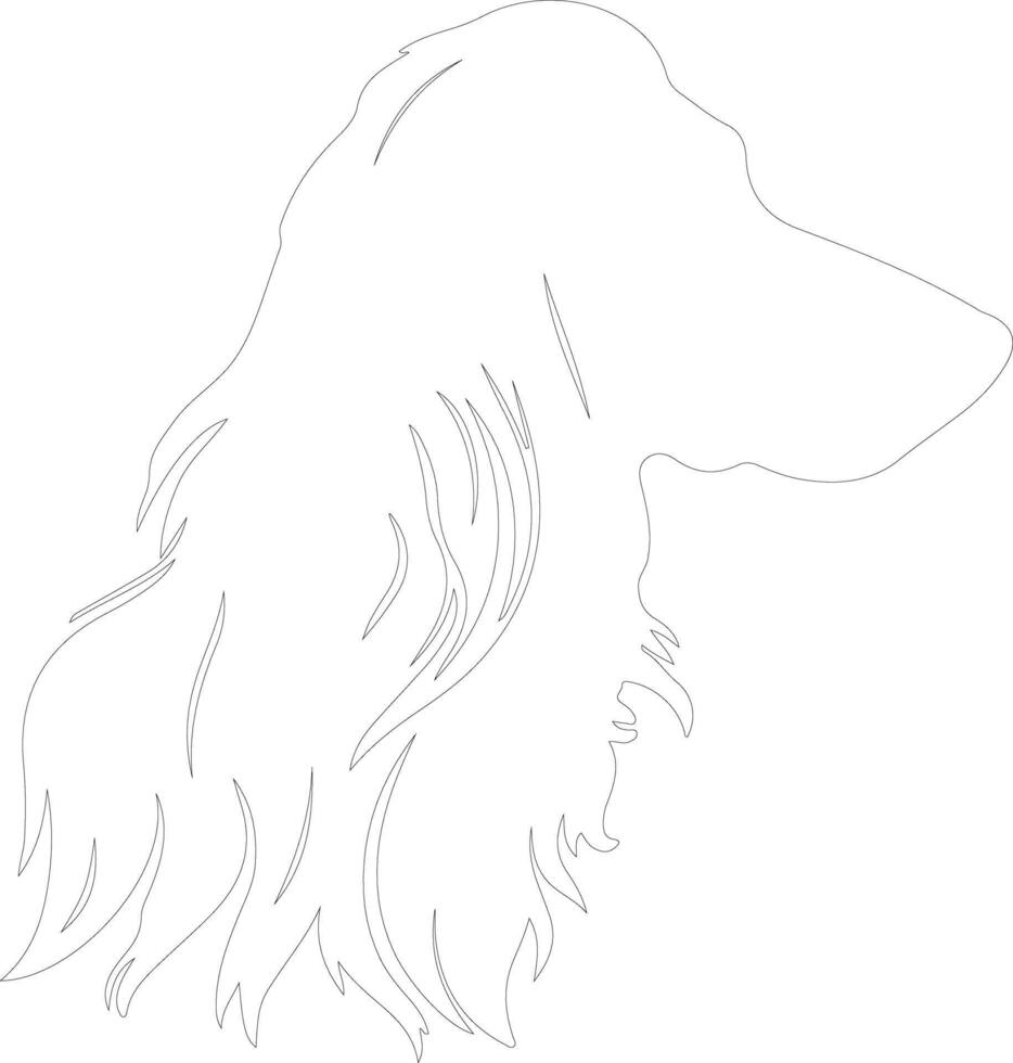 Afghan Hound  outline silhouette vector