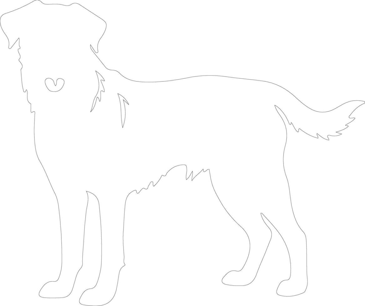 Anatolian Shepherd Dog  outline silhouette vector