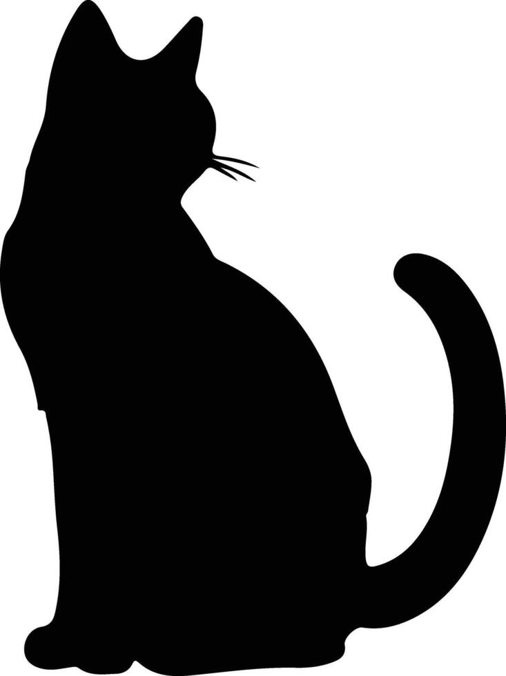 Khao Manee Cat  silhouette portrait vector