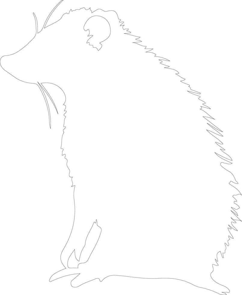 Virginia opossum outline silhouette vector