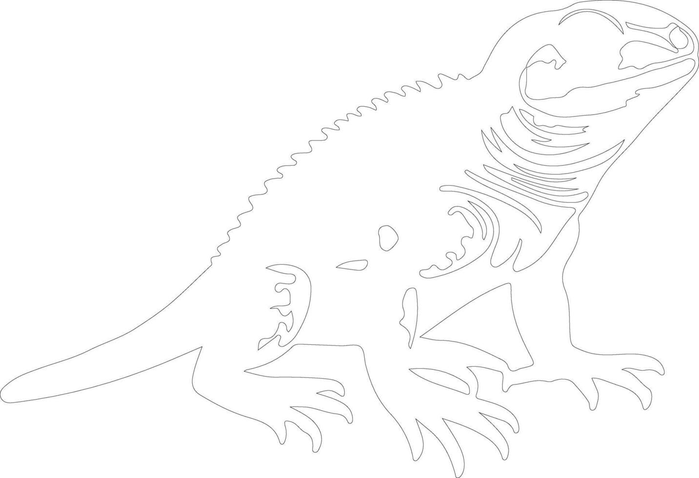collaredlizard outline silhouette vector