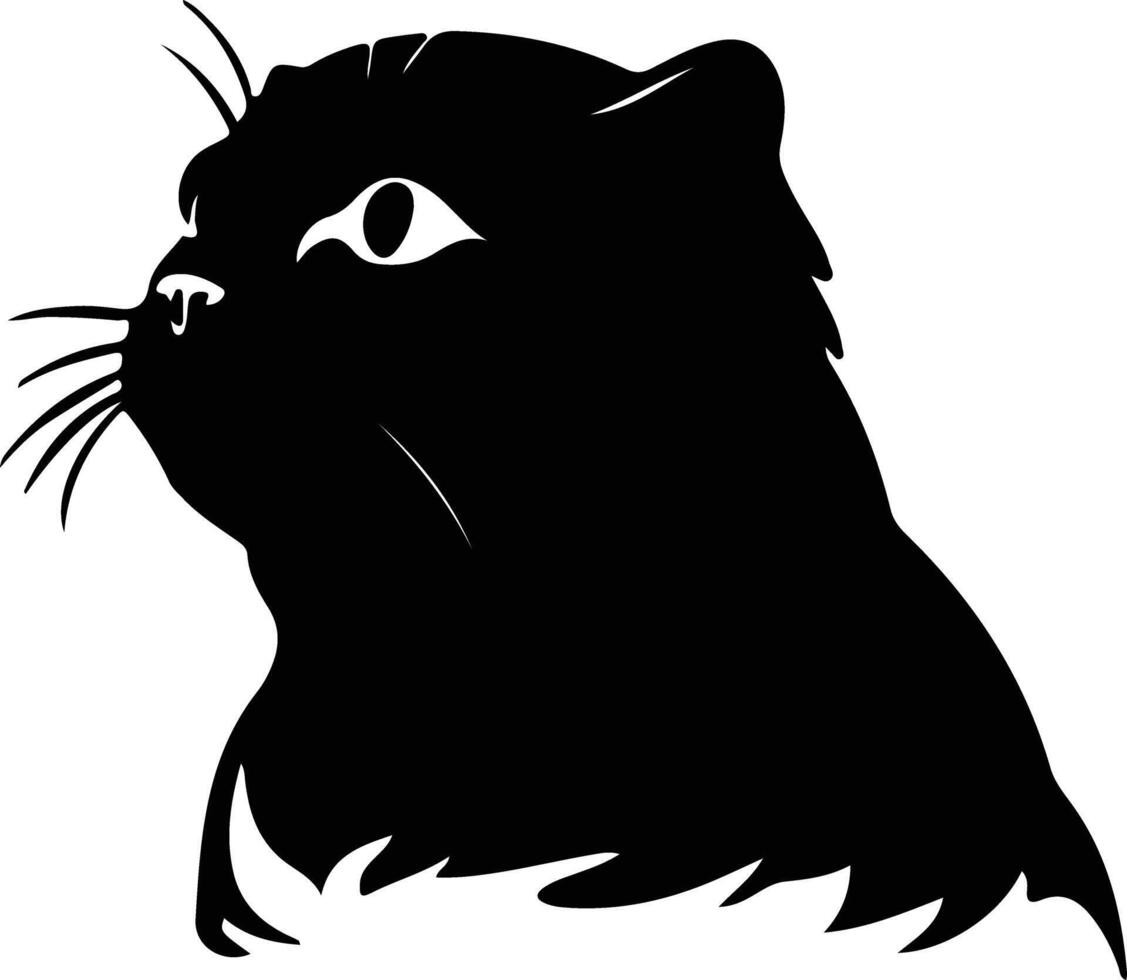 Scottish Fold Cat  silhouette portrait vector