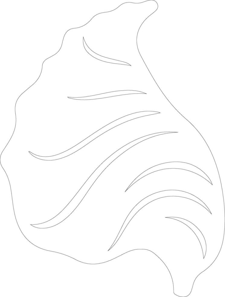 conch outline silhouette vector