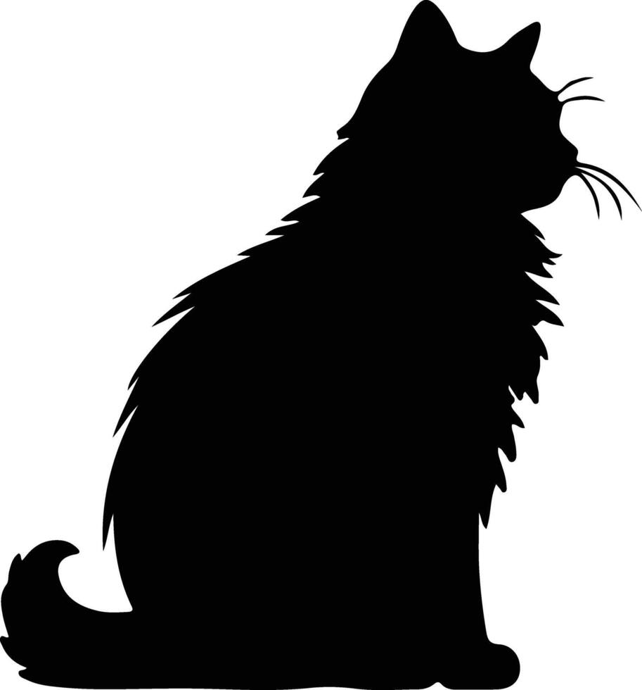 British Longhair Cat  silhouette portrait vector