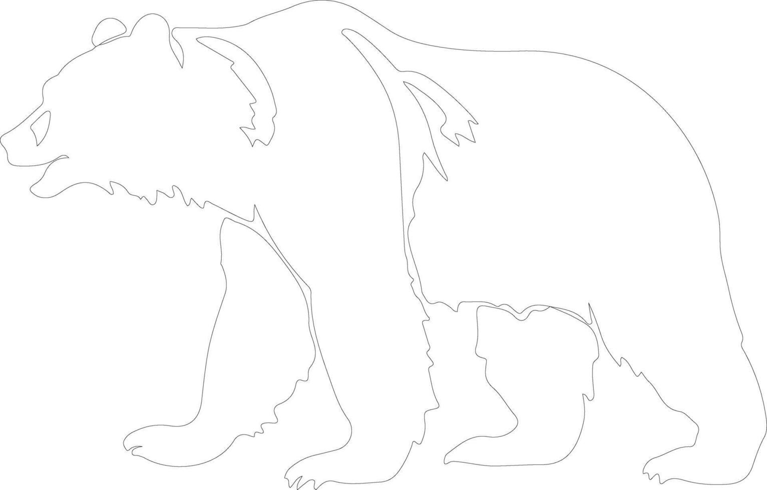 oso pardo oso contorno silueta vector