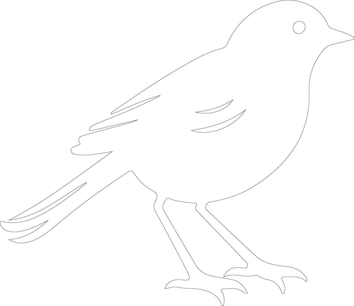 robin   outline silhouette vector
