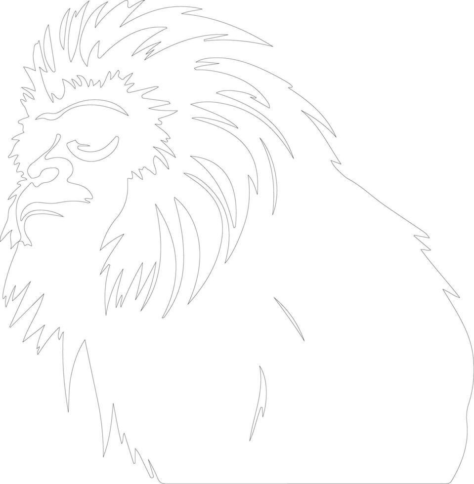 tamarin   outline silhouette vector