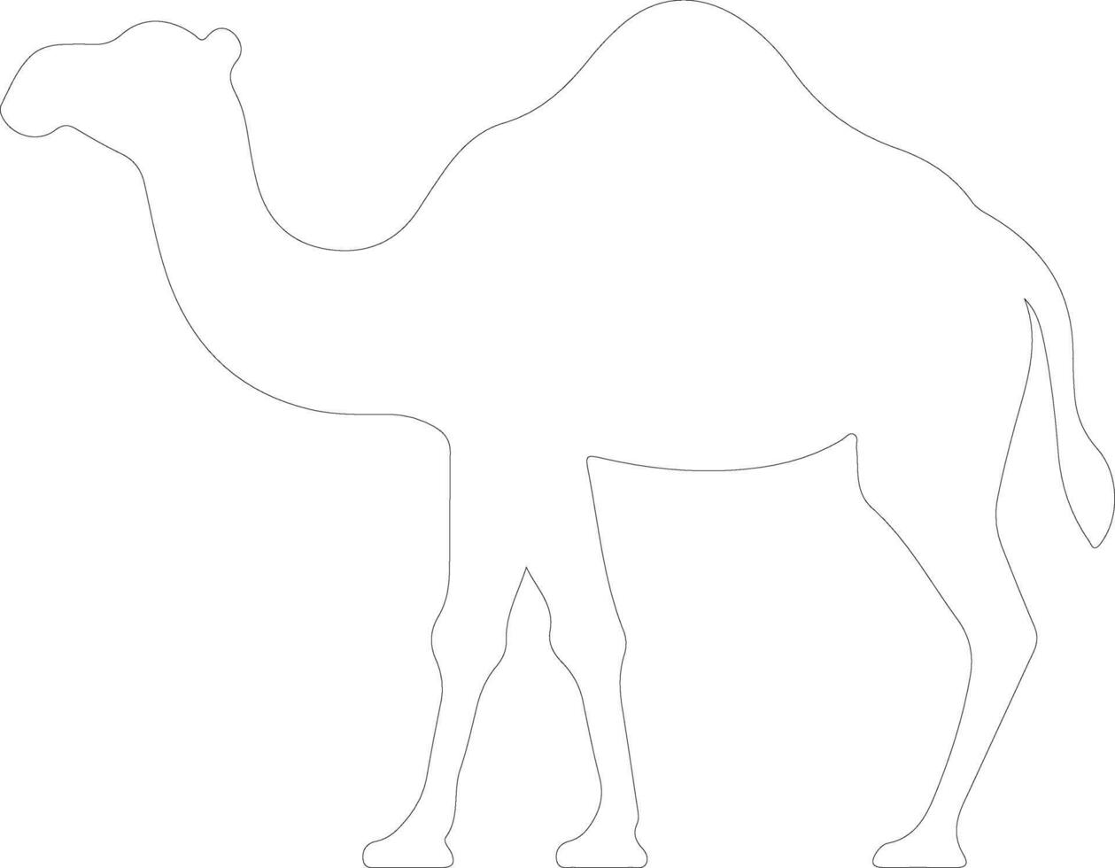 camel outline silhouette vector
