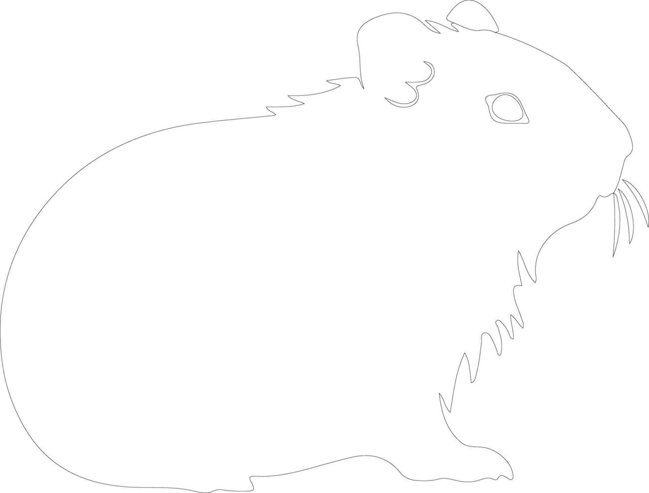 cavy outline silhouette vector