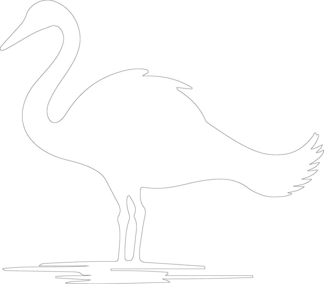 trumpeter swan    outline silhouette vector
