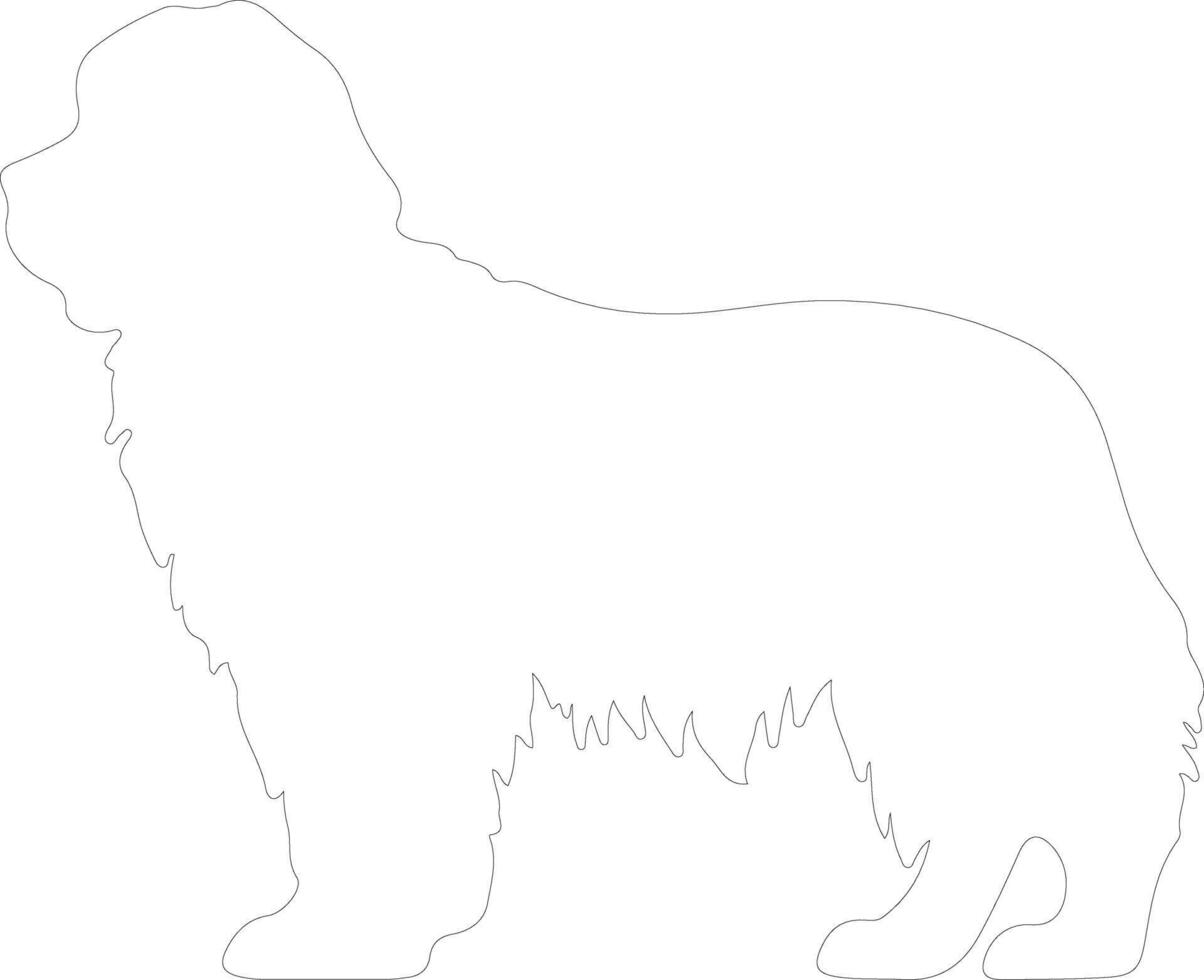 Newfoundland outline silhouette vector