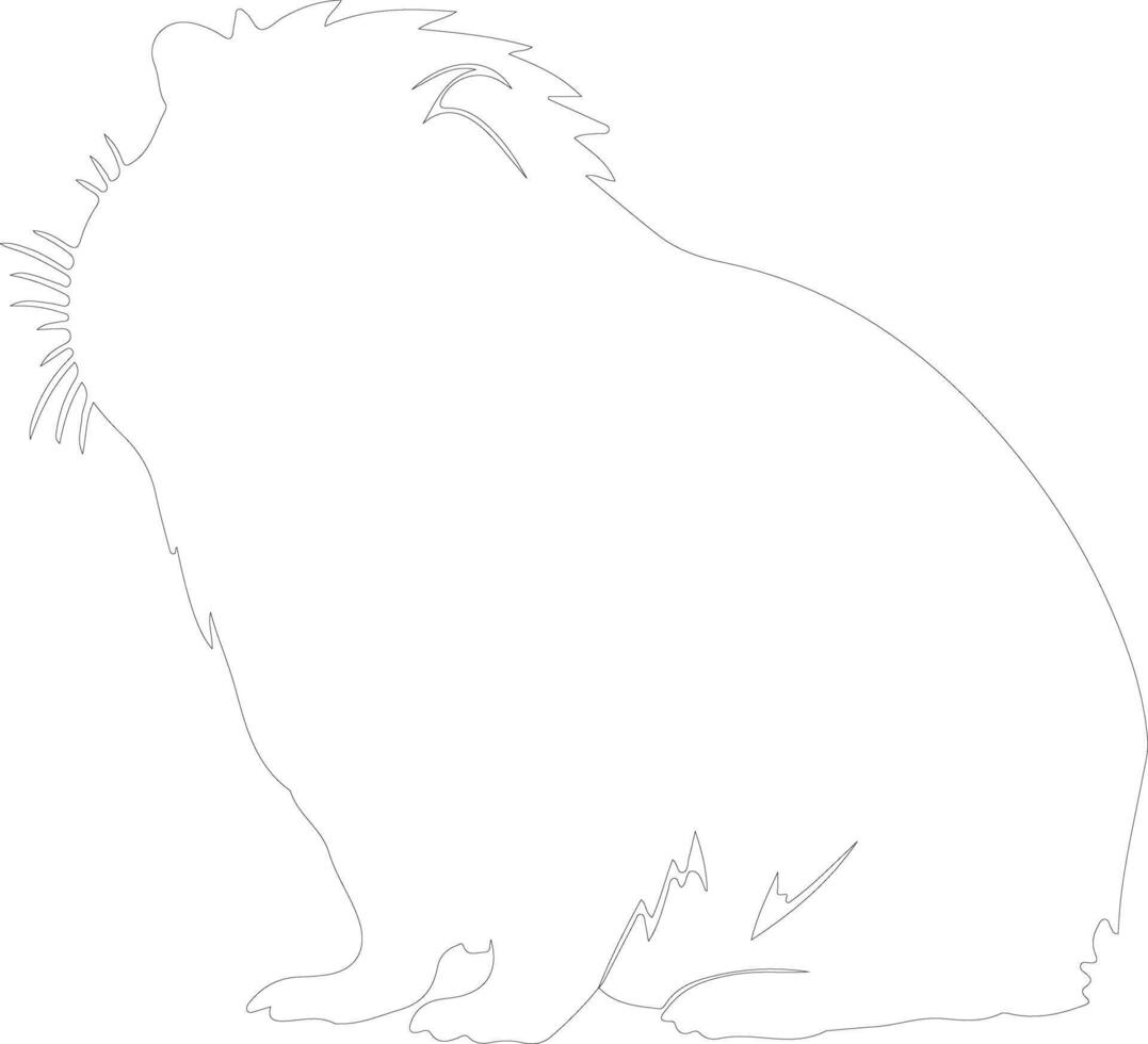 guinea pig  outline silhouette vector