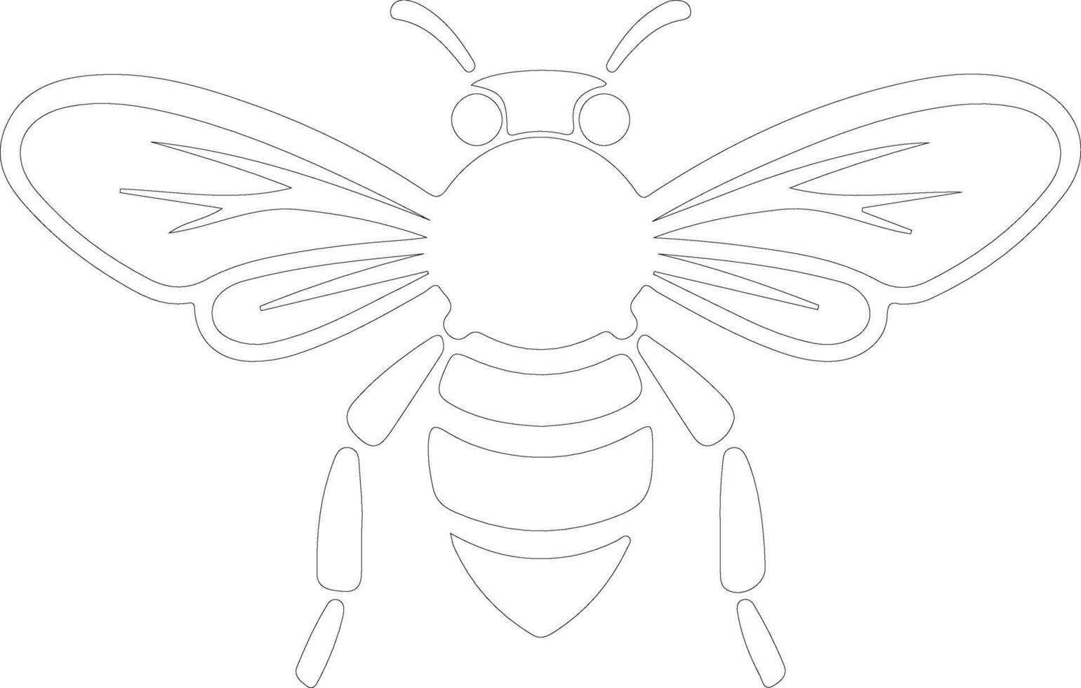bee  outline silhouette vector