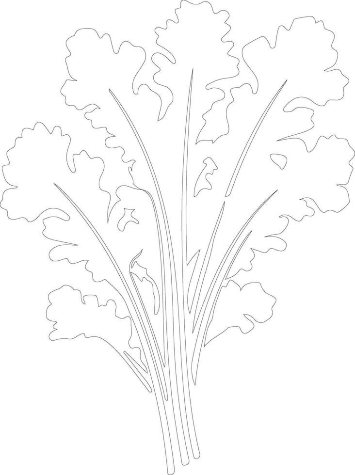 arugula  outline silhouette vector