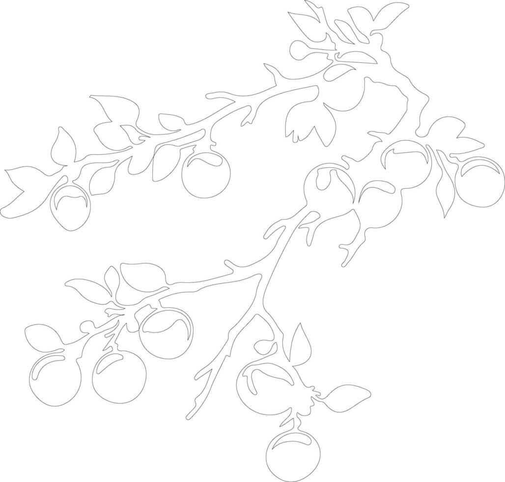 crabapple  outline silhouette vector
