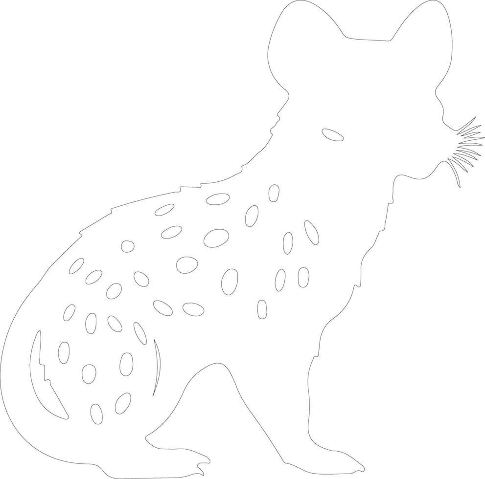 quoll   outline silhouette vector