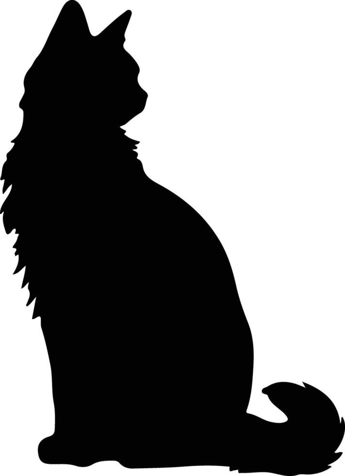 Somali Cat  black silhouette vector