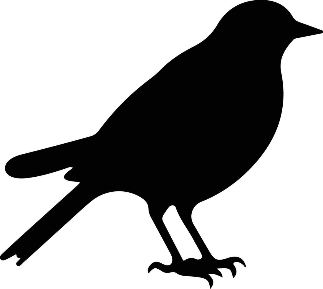 blackbird silhouette portrait vector