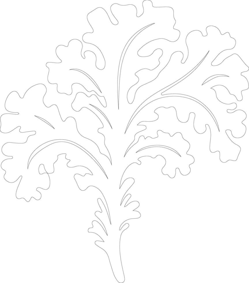 kale  outline silhouette vector