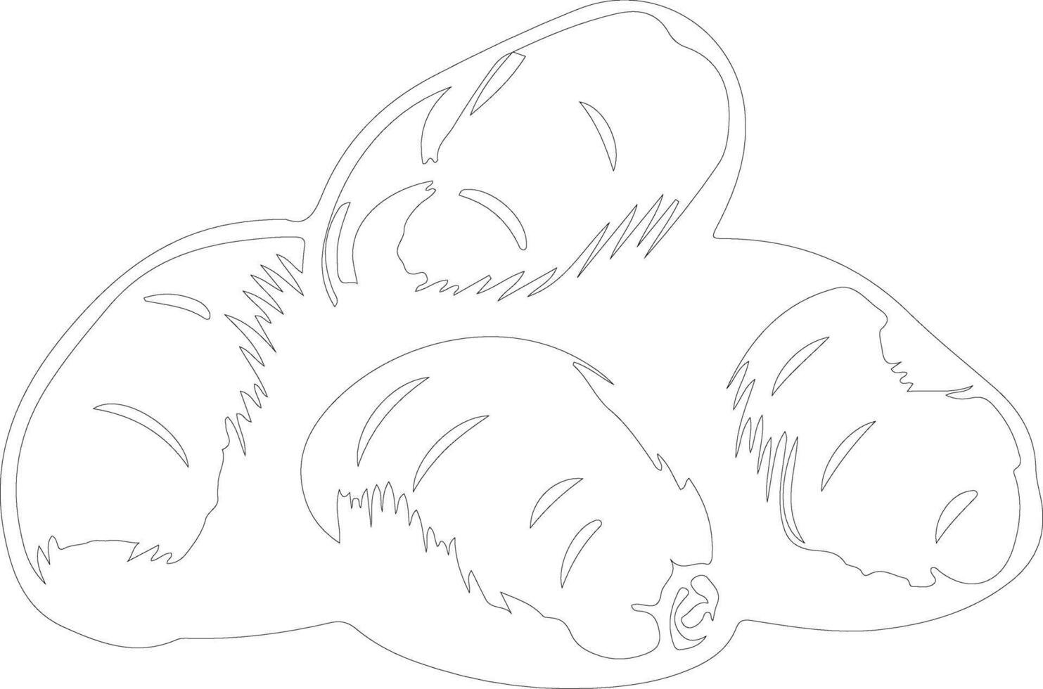 potato  outline silhouette vector