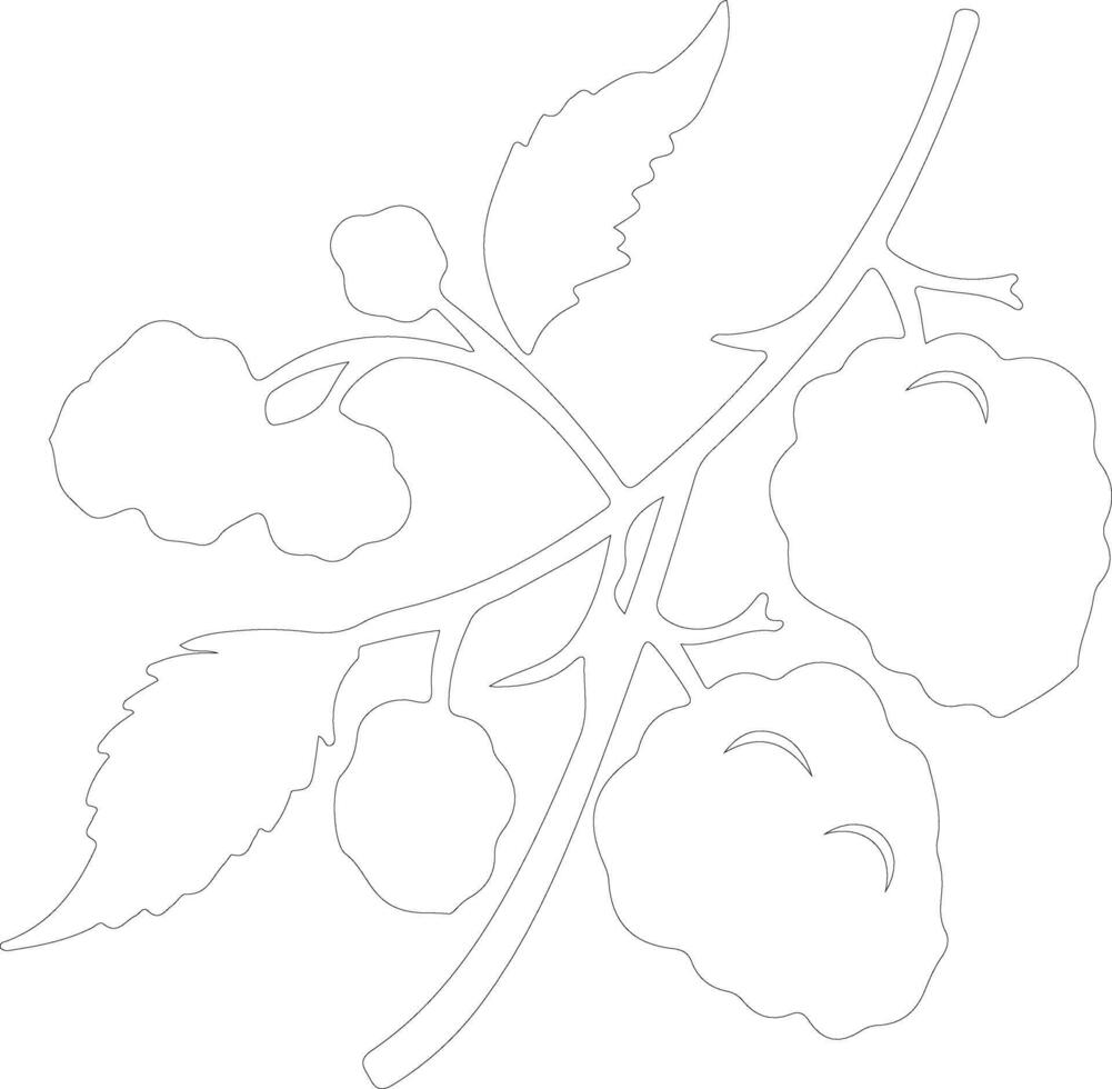 berry  outline silhouette vector