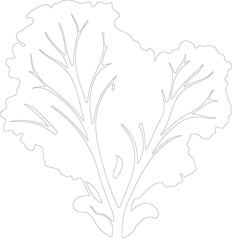 collard greens  outline silhouette vector
