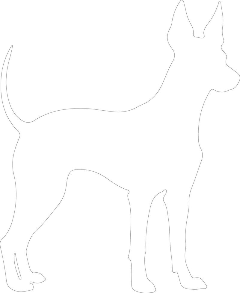 Xoloitzcuintli Mexican Hairless Dog outline silhouette vector