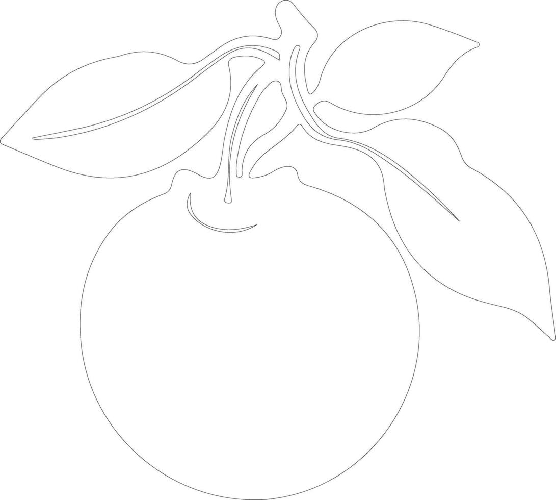 persimmon  outline silhouette vector