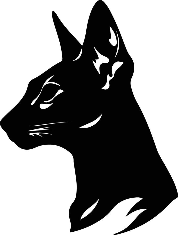 Oriental Shorthair Cat  silhouette portrait vector